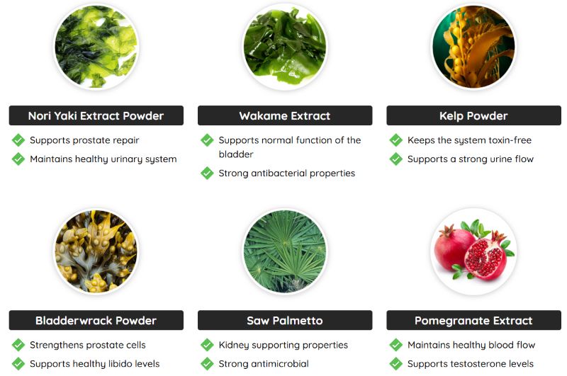 Prostadine ingredients list
