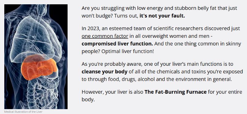 How HepatoBurn works to support liver function, boost metabolism, and promote natural fat loss Diagram showing how HepatoBurn supports liver detox and fat-burning process naturally