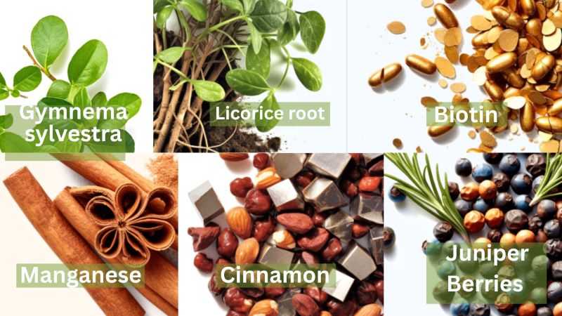 GlucoTrust Ingredients  