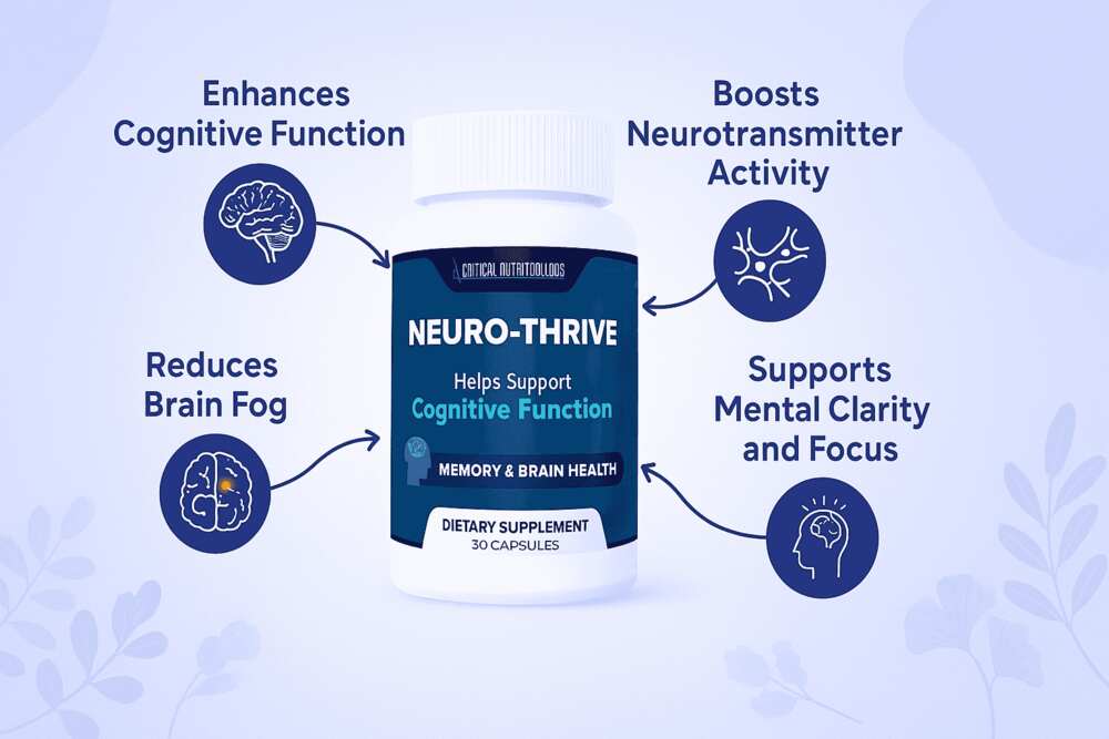 Visual diagram showing how NeuroThrive supports memory, focus, circulation, and neurotransmitter health