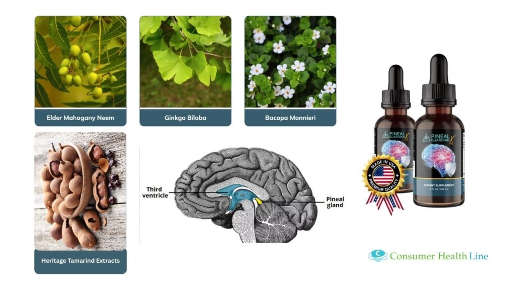 Pineal Guardian Ingredients