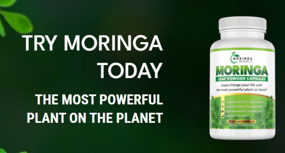 Moringa Magic Scam or Legit? Uncovering Facts