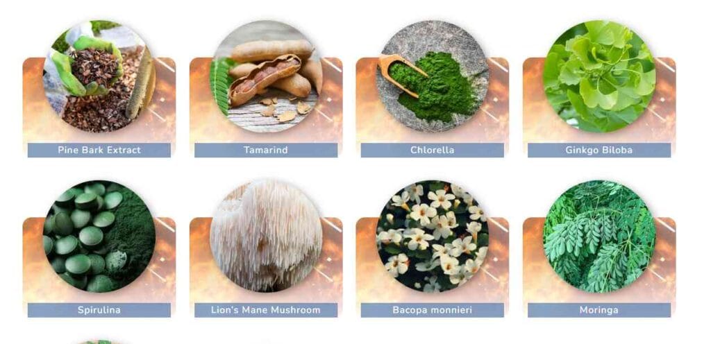 Ingredients of JointVive