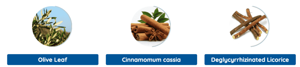 Neuro Serge natural ingredients list for brain fog