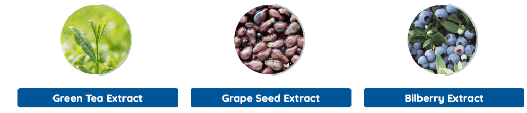 Neuro Serge natural ingredients list for brain fog