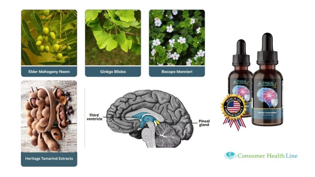 Pineal Guardian Ingredients