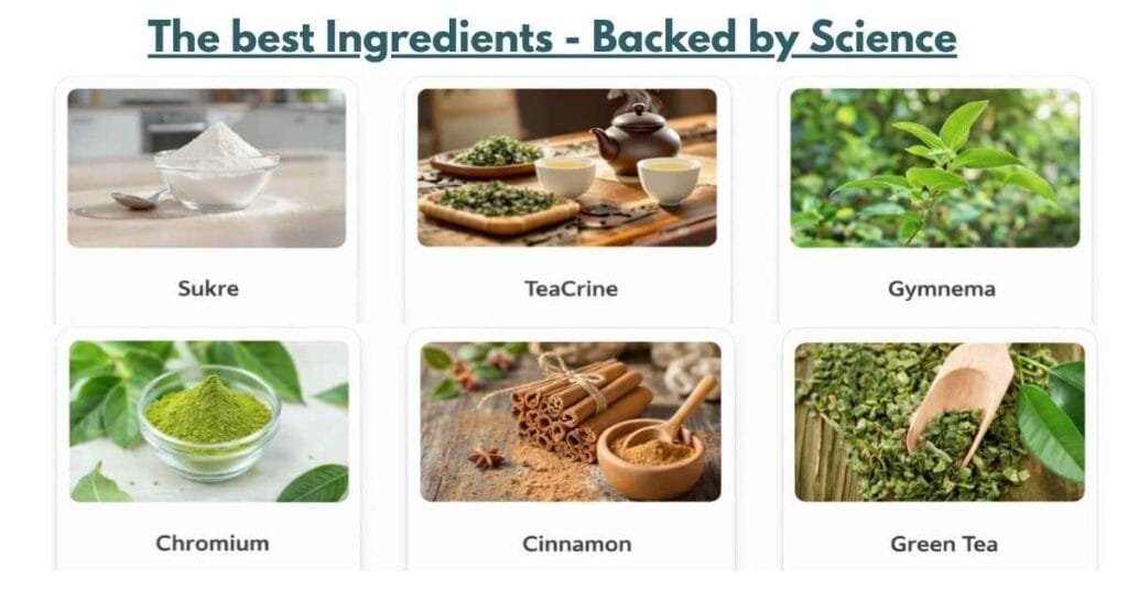 Gluco6 Ingredients Image 