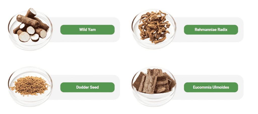 DigestiStart Ingredients – What’s Inside the Capsule?