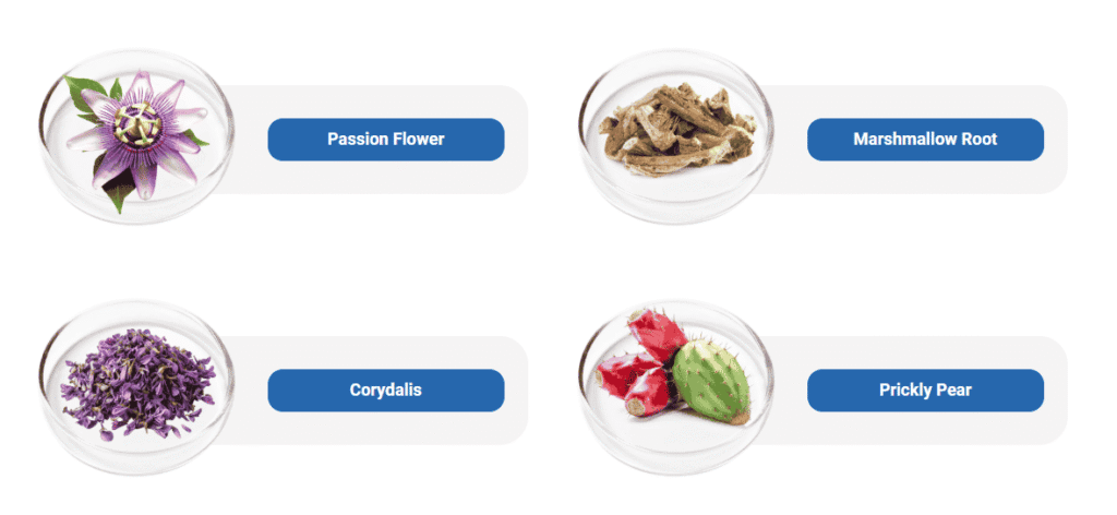 Nervovive Ingredients – What’s Inside (Official Formula)