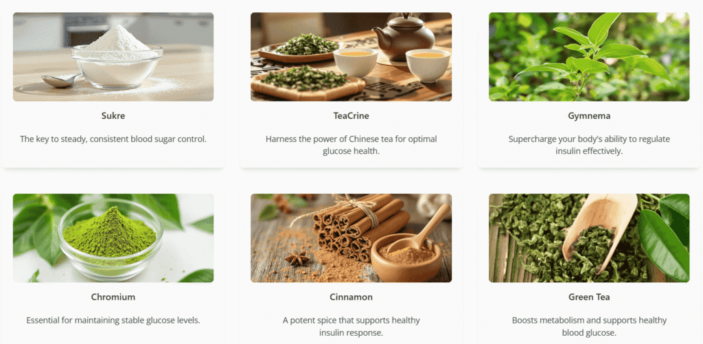 Gluco6 image of Ingredients