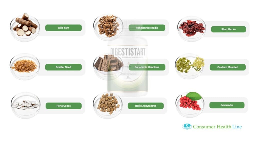 Ingredients in DigestiStart Image
