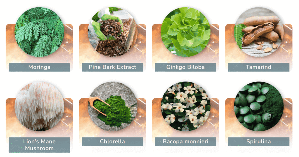 Ingredients in NeuroPrime