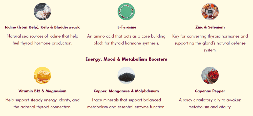 Ingredients in Thyrafemme Balance