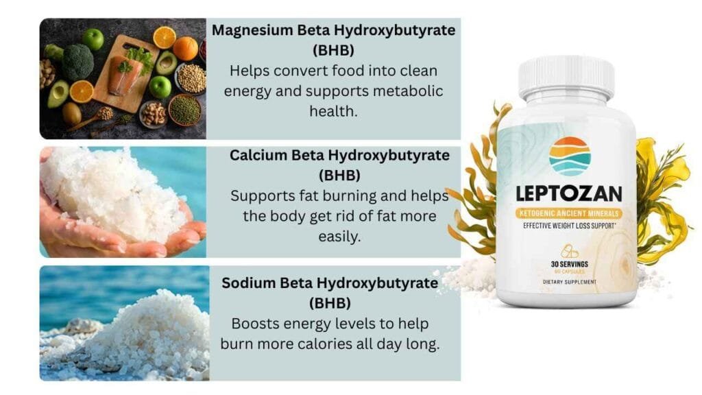 Leptozn Ingredients
