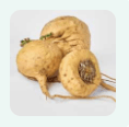 Whispeara Reviews: Honest Results, Ingredients, Benefits & Side Effects