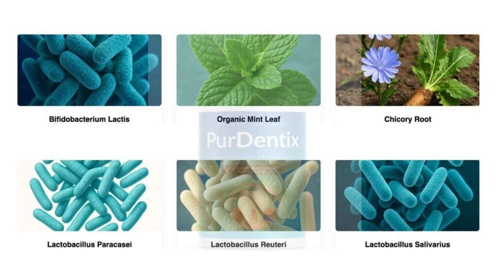 PurDentix Ingredients