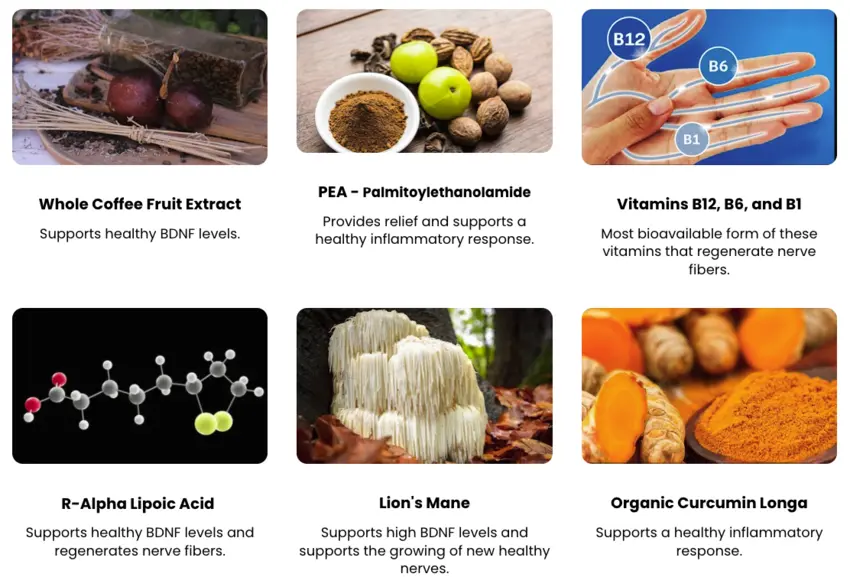 NuNerve Ingredients image