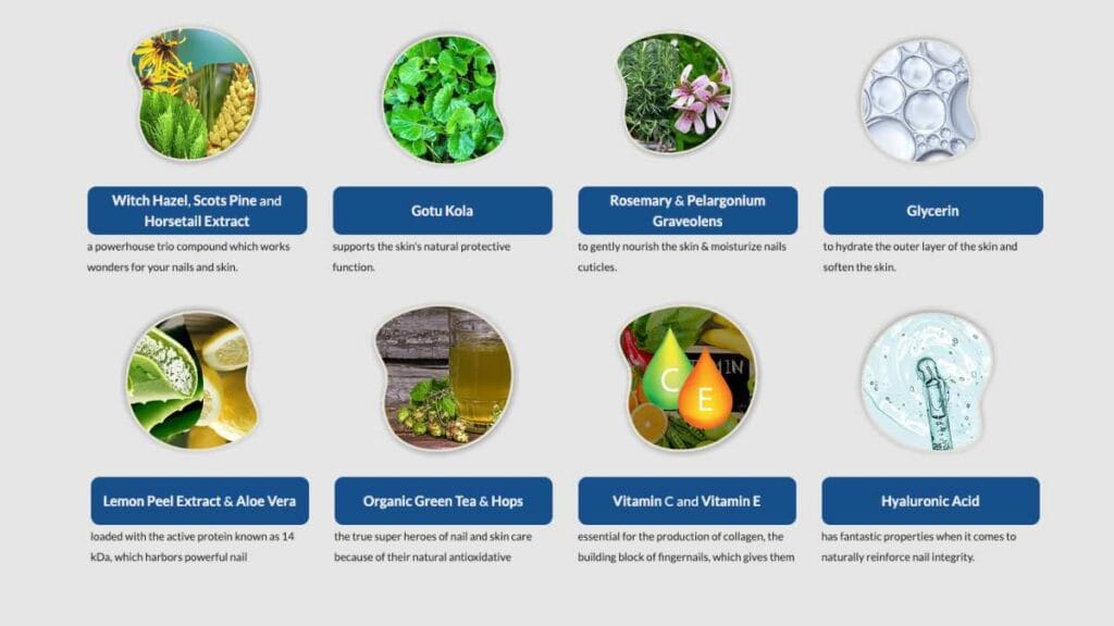 Metanail Complex Ingredients