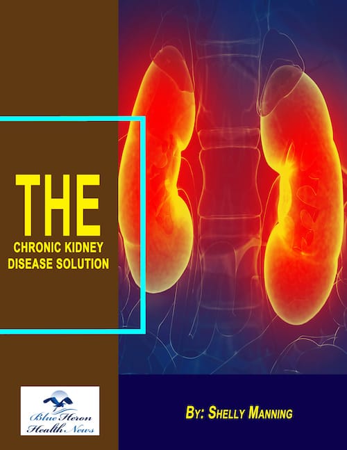 The Chronic Kidney Disease Solution Review – Does It Really Work?