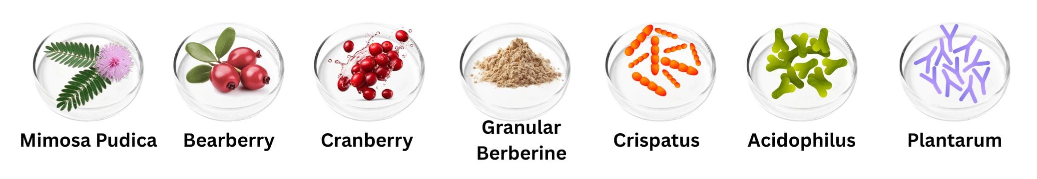 Femi Core Review: Does It Really Work for Women’s Health?