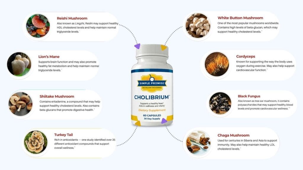 Cholibrium Ingredients