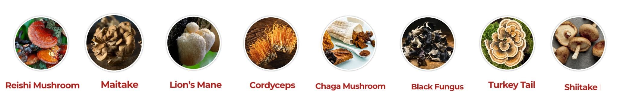 Cholibrium Review: Ingredients, Benefits, Side Effects & Results