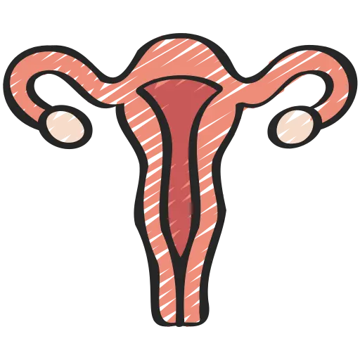 Female Health