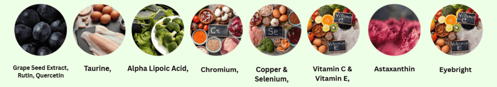VisiFlora Key Ingredients Image