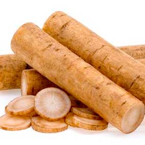 Burdock Root