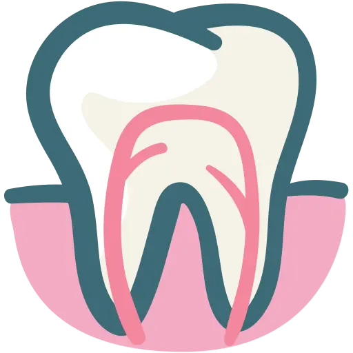 Teeth & Gum Health